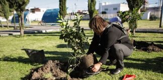 Realiza Mundo Tlatehui jornada de forestación en parque de Santa María Cuaco de la cabecera municipal