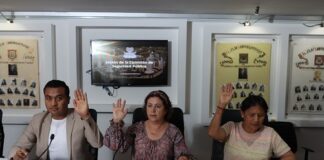 Avalan en Comisión de Seguridad del Congreso exhorto para promover campañas de defensa personal