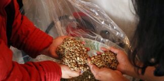 Llega café poblano de especialidad de Huitzilan a “Amazon”