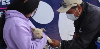 Ayuntamiento de Puebla trabaja por el bienestar animal