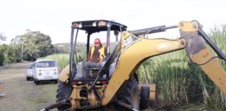 Gobierno de Izúcar prepara nuevo reglamento de construcción: Irene Olea