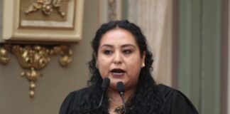 Promueven en el Congreso Iniciativa para evitar el sacrificio de animales abandonados
