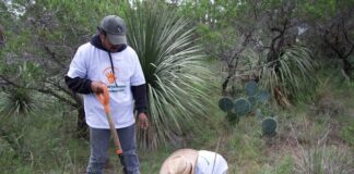 Reforesta Granjas Carroll más de 3 hectáreas en Tepeyahualco