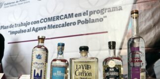 Impulsará SDR certificación de marcas de mezcal poblano
