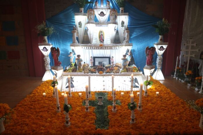 WhatsApp-Image-2022-11-02-at-12.13.53-PM-1