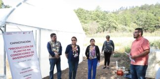 Inicia SEDIF programa de Salud y Bienestar Comunitario en Zautla
