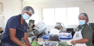 Mejora dinamismo económico de Puebla; ejerce presupuesto superior a los 101 mmdp en 2022