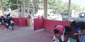 Promueve Gobierno de Izúcar campaña permanente de esterilización de mascotas