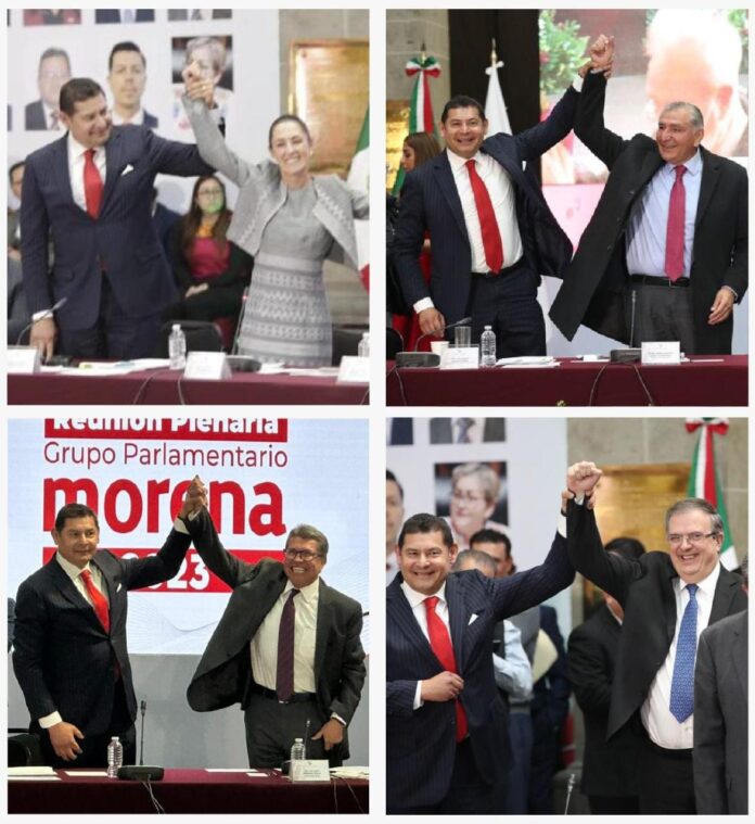 WhatsApp Image 2023-01-31 at 14.10.29