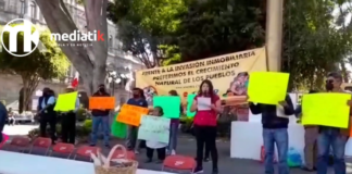 Grupo Proyecta arrasa con zonas forestales para construir vivienda en San Andrés Cholula, acusan