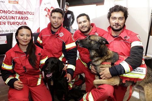cruz-roja-reconocimiento-binomios-caninos-560420