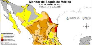 En Puebla 208 de 217 municipios presentan sequía anormal