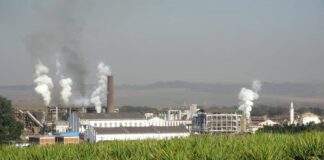 Baja producción de caña en Puebla