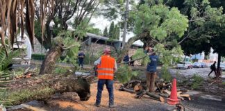 Ayuntamiento de Puebla atiende daños por aguacero