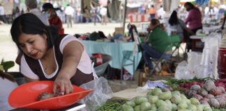 Todo listo para la Feria del Nopal en San Andrés Cholula: Edmundo Tlatehui