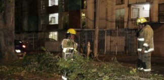 Pide Eduardo Rivera reportar árboles o estructuras en riesgo en Puebla
