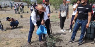 Con 120 árboles del vivero municipal, encabeza Irene Olea jornada de reforestación en la Sánchez Taboada.