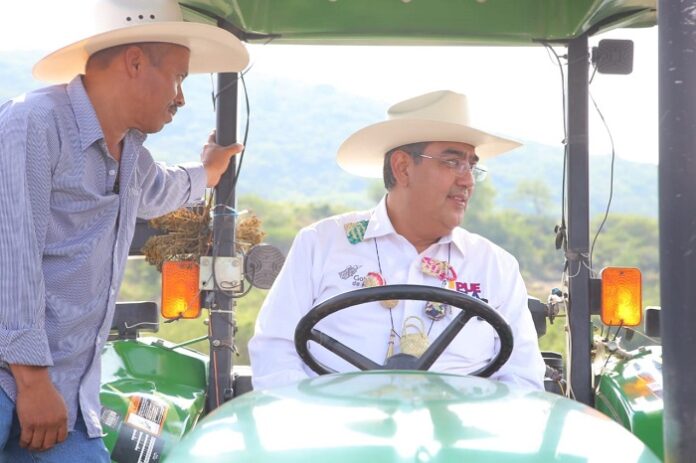 sergio salomon campo
