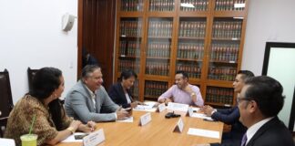 Aprueban listado de perfiles para ser designados como miembros de la Comisión de Selección del Comité de Participación Ciudadana