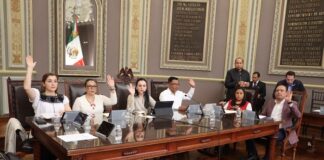 Impulsan en el Congreso exhorto para combatir fraudes en venta de automóviles a través de sitios digitales