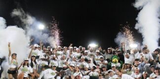 Pericos de Puebla campeones de la Zona Sur en partidazo y tremenda serie