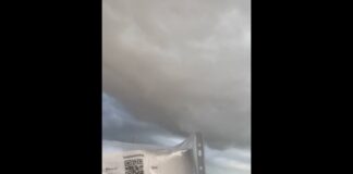 Revienta la reventa en partido de Pericos- Algodoneros (VIDEO)