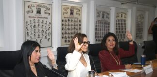 Aprueba Comisión del Congreso acuerdo para la atención de mujeres en situación de violencia