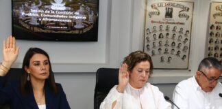 Aprueba Comisión del Congreso reformas en favor de pueblos y comunidades indígenas