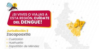 Puebla, con presencia de dengue en tres municipios: Salud