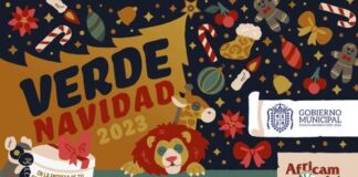 ¿Qué hacer con tu árbol de navidad en Cuautlancingo? ayuntamiento hace convenios con Africam y Arboterra