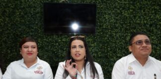 Irene Olea, enfocada en que la seguridad vial se aprenda desde la infancia”.