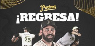 Ynoa regresa al nido
