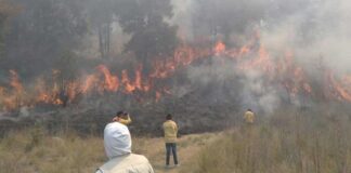 Puebla 2º lugar nacional con más incendios forestales