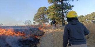 Incendio dejó 30 hectáreas de pastizal afectadas en el cerro Zapotecas