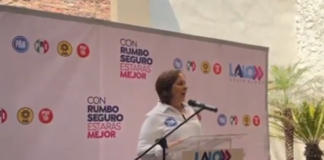 Ana Teresa Aranda denunciará a MORENA por retiro de propaganda
