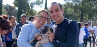 Mario Riestra otorgará 50 mil esterilizaciones gratuitas para perros y gatos