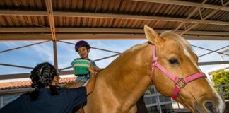 Ayuntamiento conmemora el Día Mundial de Concienciación sobre el Autismo ofreciendo servicios especializados en el CMERI