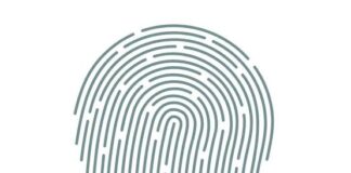 Partidos políticos y ayuntamientos, reprobados en transparencia: Itaipue