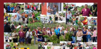 5ª Jornada Ambiental de jóvenes poblanos de la mano con Armenta