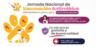 Anuncia Salud reforzamiento de vacunación antirrábica para perros y gatos