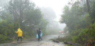 Lluvias provocan deslaves y reubicación de familias en la Sierra Negra: Sergio Salomón