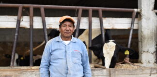Carroll colabora en mitigar el impacto del Cambio Climático con la producción de forrajes