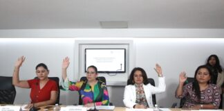 Presentan plan de trabajo del Comité de Diario de Debates, Crónica Legislativa y Asuntos Editoriales