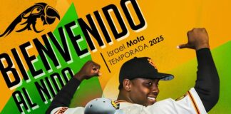 Poder al orden al bat emplumado