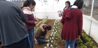 Inaugura Granjas Carroll de México Huerto e Invernadero Escolar