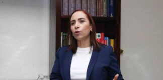 “Simulan democracia”: Adriana Dávila critica el proceso de elección en el PAN de Puebla