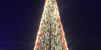 Encienden árbol de Navidad en Coronango