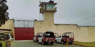 Reo en Huauchinango no recibe medicamentos por tumor; CDH implemente medidas cautelares