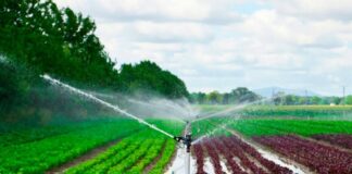 Granjas Carroll de México y el uso del agua en su producción