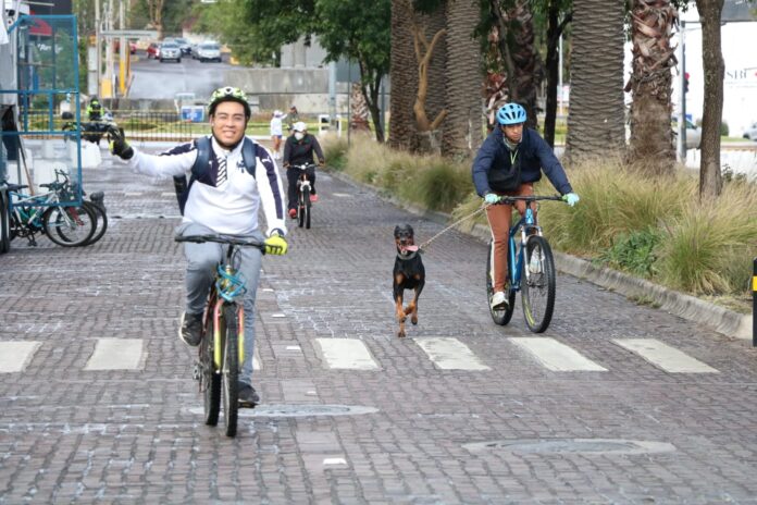 jua1